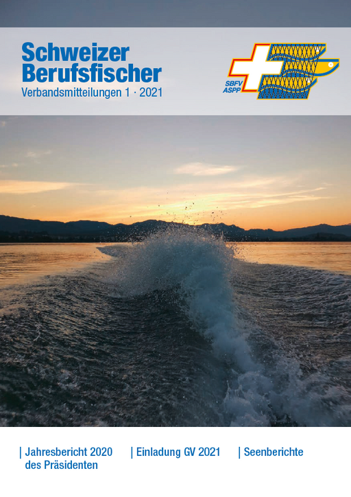 Bulletin Ausgabe 01/2021