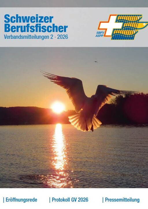 Bulletin Ausgabe 02/2026