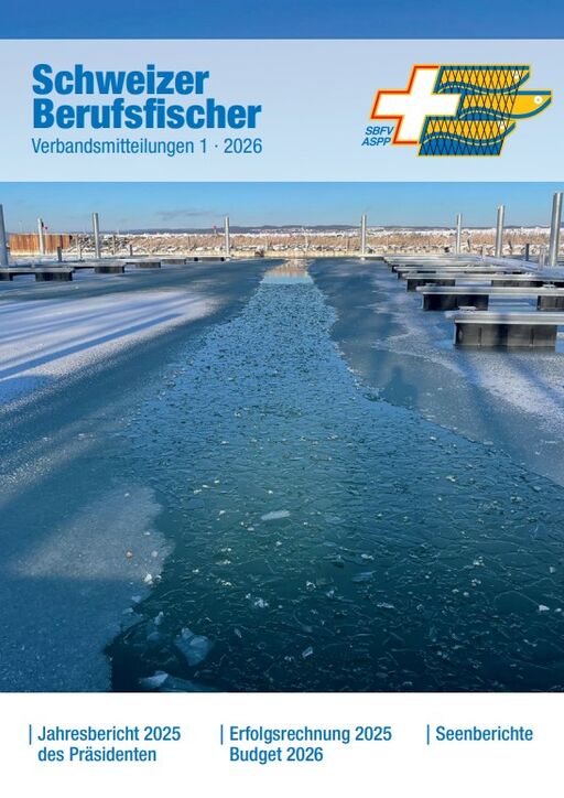Bulletin Ausgabe 01/2026