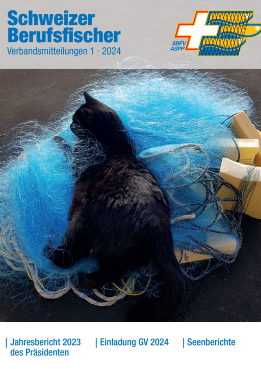 Bulletin Ausgabe 01/2024