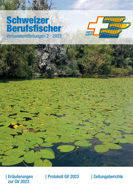 Bulletin Ausgabe 02/2023