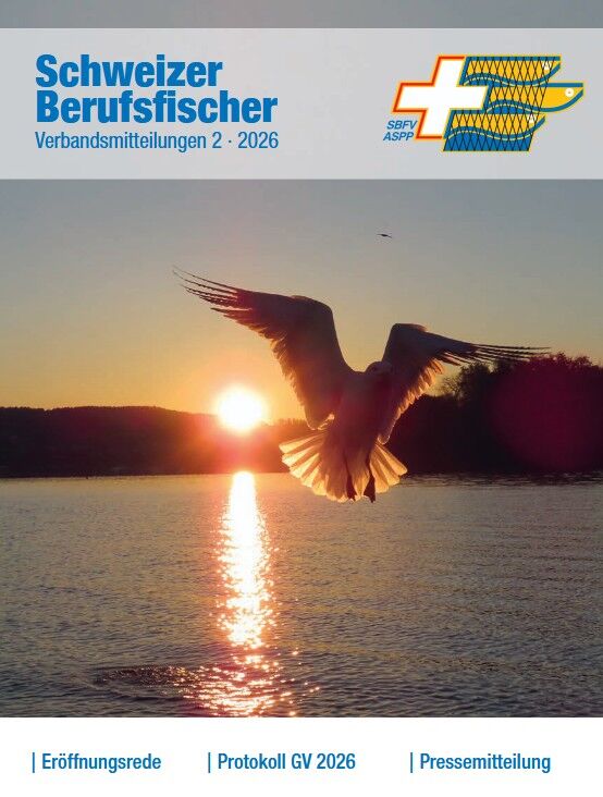 Bulletin Ausgabe 02/2026