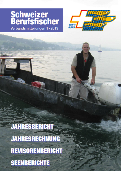 Bulletin Ausgabe 01/2013