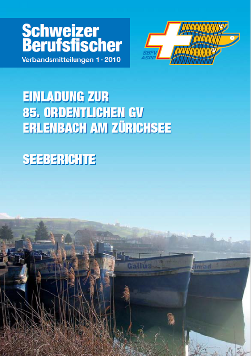 Bulletin Ausgabe 01/2010