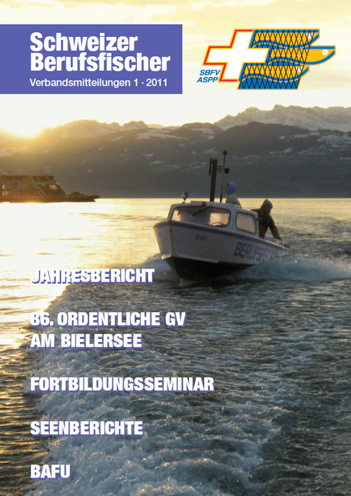 Bulletin Ausgabe 01/2011