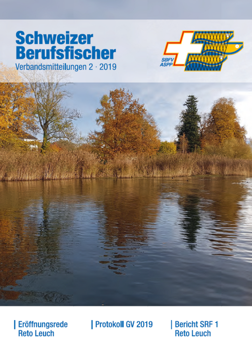 Bulletin Ausgabe 02/2019