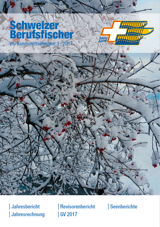 Bulletin Ausgabe 01/2017