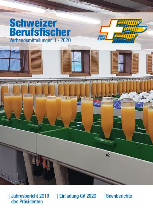 Bulletin Ausgabe 01/2020